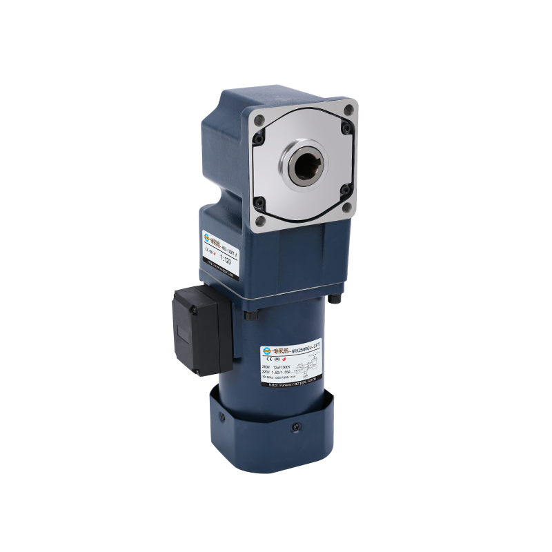 100mm 200W/250W VT Reduction Motor