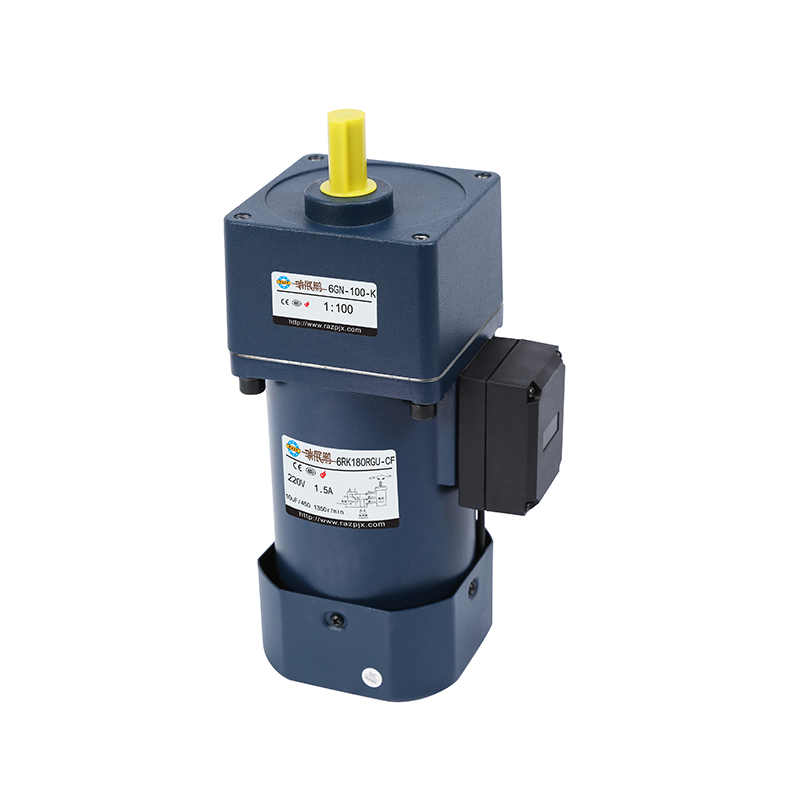 100mm 200W/250W High Percision Gear Reducer Motor