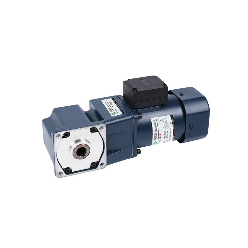 100mm 200W/250W VT Reduction Motor