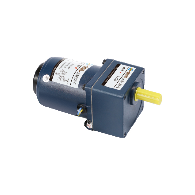 60mm 6W/10W High Percision Gear Reducer Motor